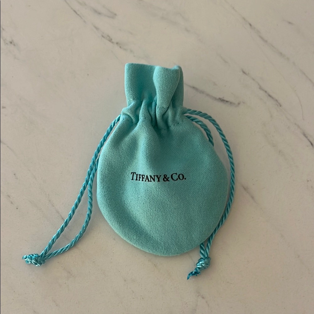 Tiffany & Co. Blue Drawstring Pouch